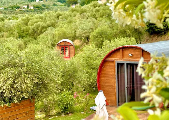 Le Botti Fiorentine