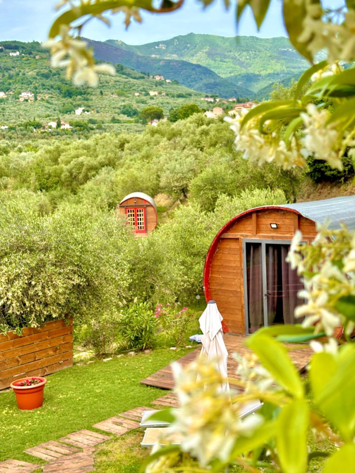Le Botti Fiorentine *